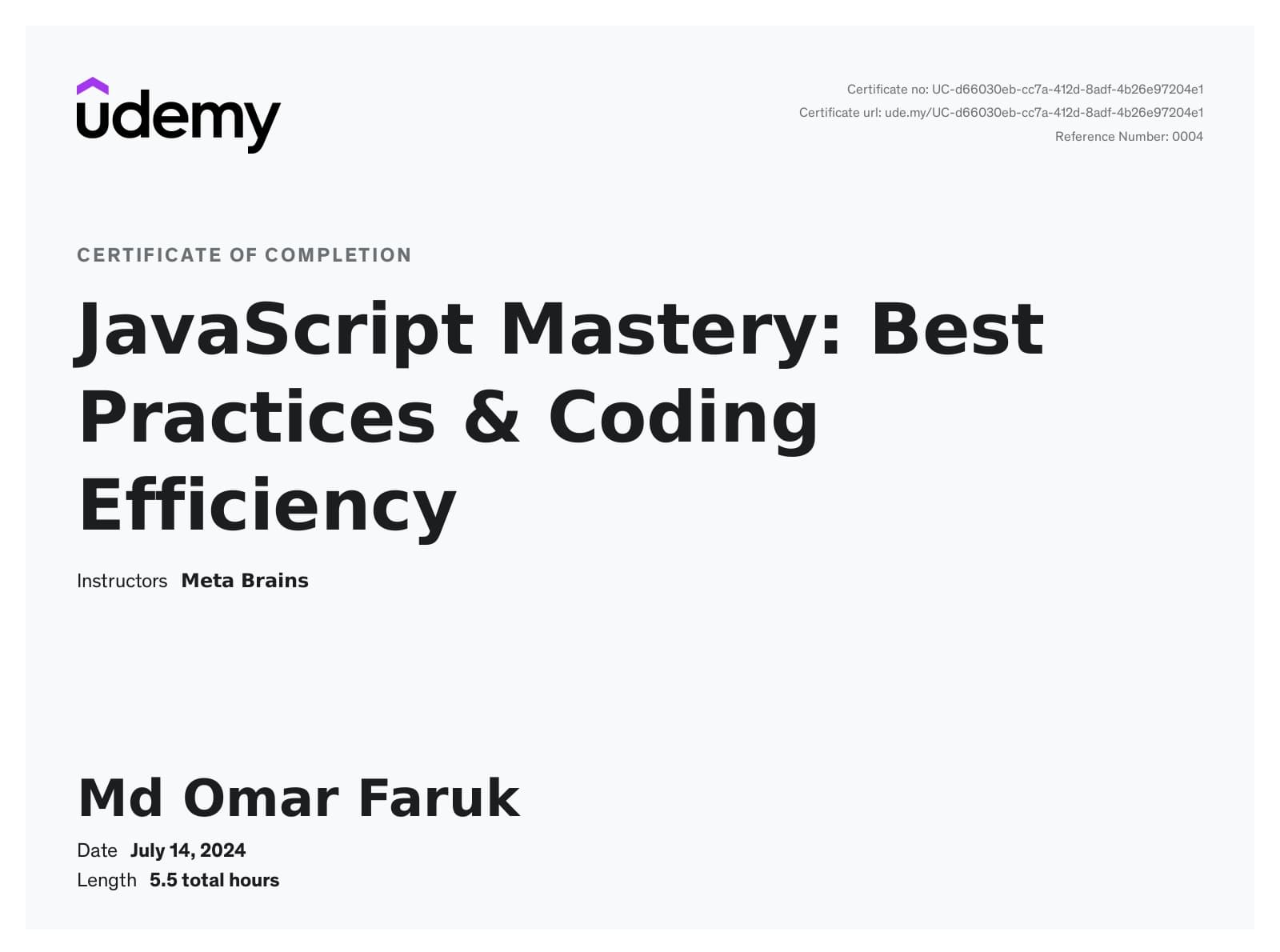 JavaScript Mastery: Best Practices & Coding Efficiency